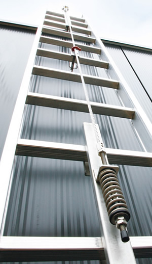 linea de vida vertical